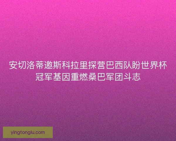 安切洛蒂邀斯科拉里探营巴西队盼世界杯冠军基因重燃桑巴军团斗志