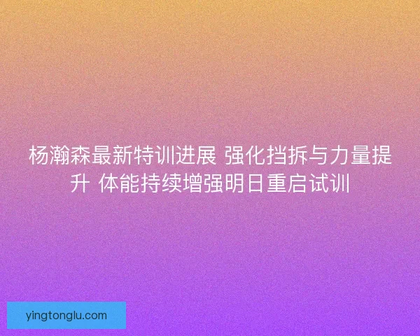 杨瀚森最新特训进展 强化挡拆与力量提升 体能持续增强明日重启试训